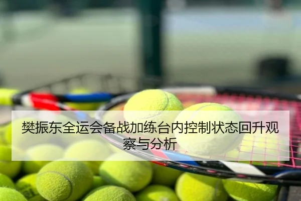 樊振东全运会备战加练台内控制状态回升观察与分析